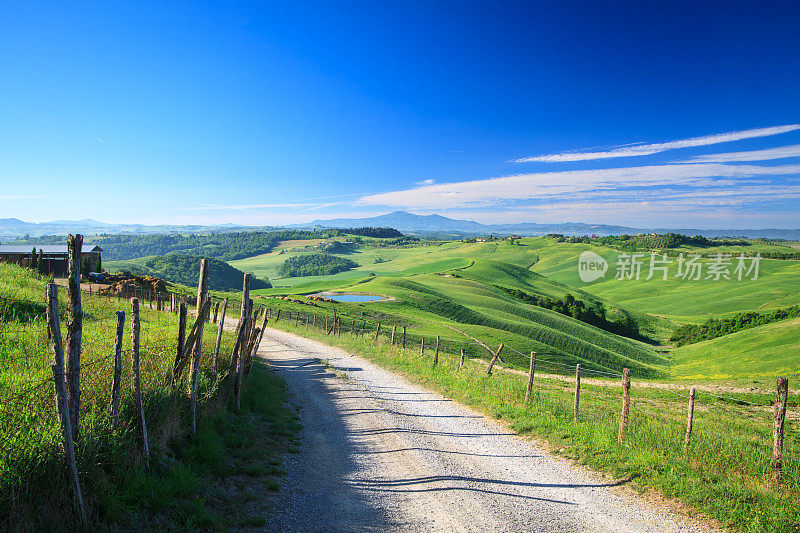 乡村道路，起伏的山丘，绿色的景观-春天的托斯卡纳农田