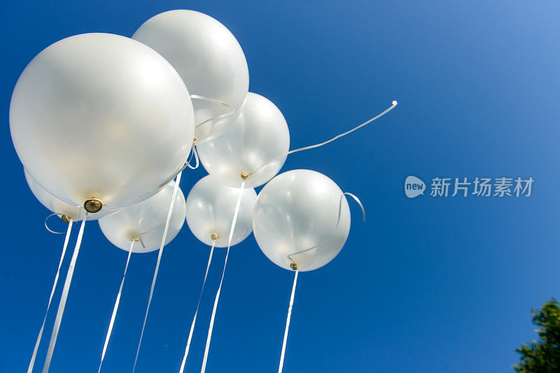 庆祝-漂浮的白色气球