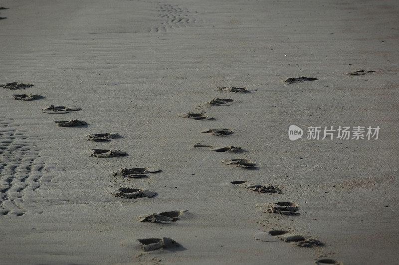 海滩上的脚步声