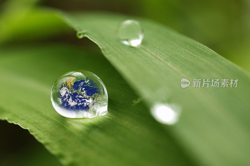 树叶带着雨滴，恢复大地的概念