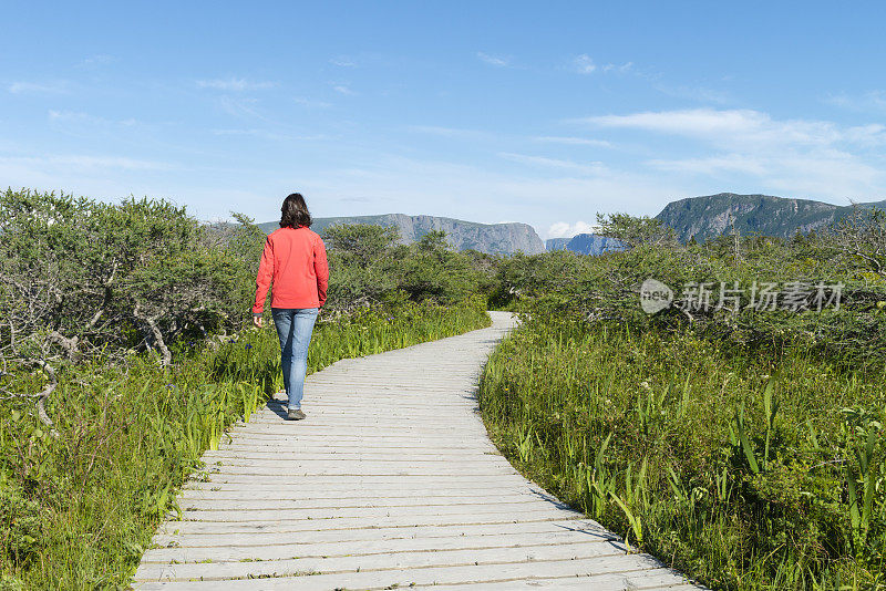 一名年轻女子在纽芬兰格罗莫恩国家公园徒步旅行