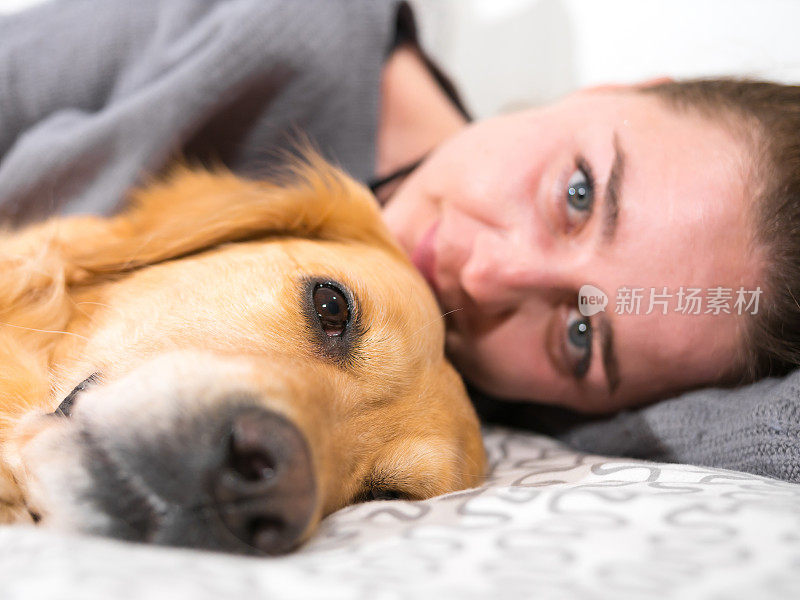 一只金毛猎犬和一个躺在地上的女孩的特写镜头