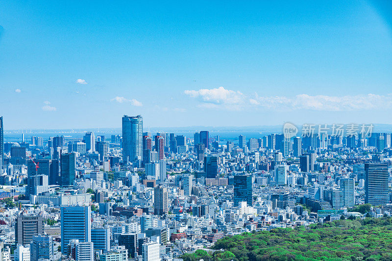 东京，日本——2017年4月23日:从京都政府大楼(东京市政厅)鸟瞰日本首都