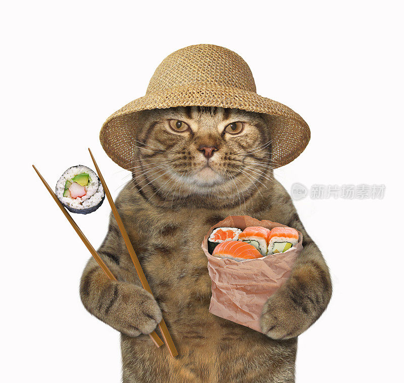 猫配寿司和筷子