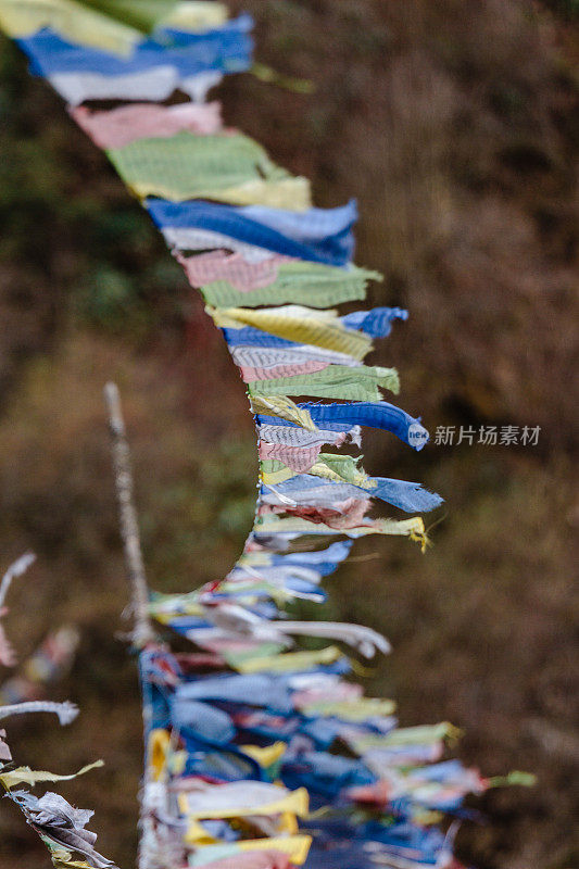 冬季，拉钦的坦古和乔普塔山谷，在冰封的河流上，撕裂飘扬的五彩藏族经幡和裹在桥上的经幡。北锡金,印度。