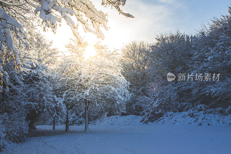 什罗浦郡雪场景