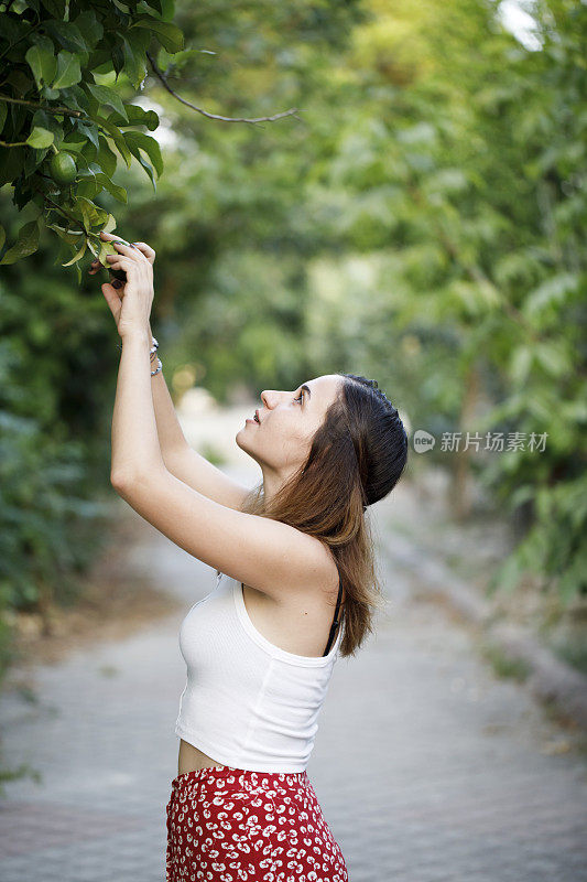 美丽的年轻女子触摸柠檬树