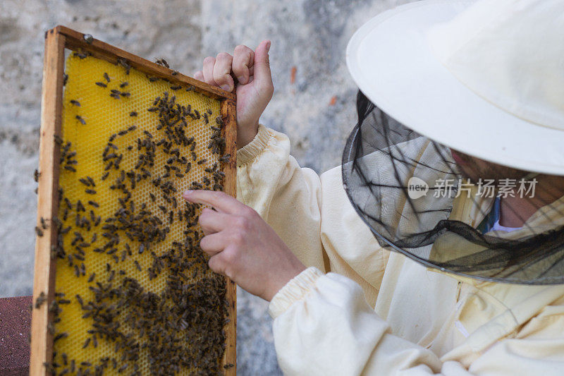 养蜂人展示蜂房