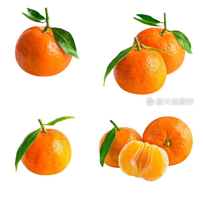 孤立的桔子或橘子。收集的新鲜桔子与叶孤立在白色