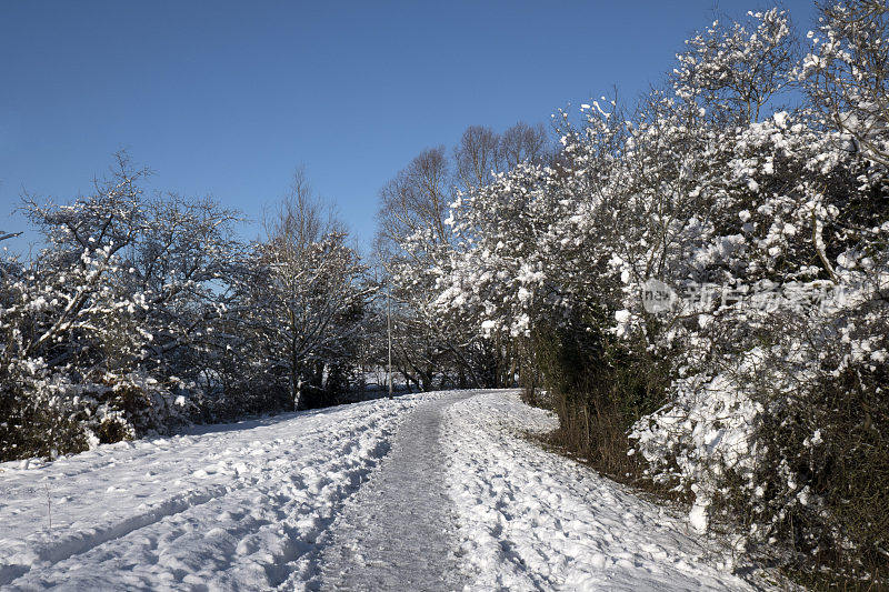 冰雪覆盖的景观冬季风景