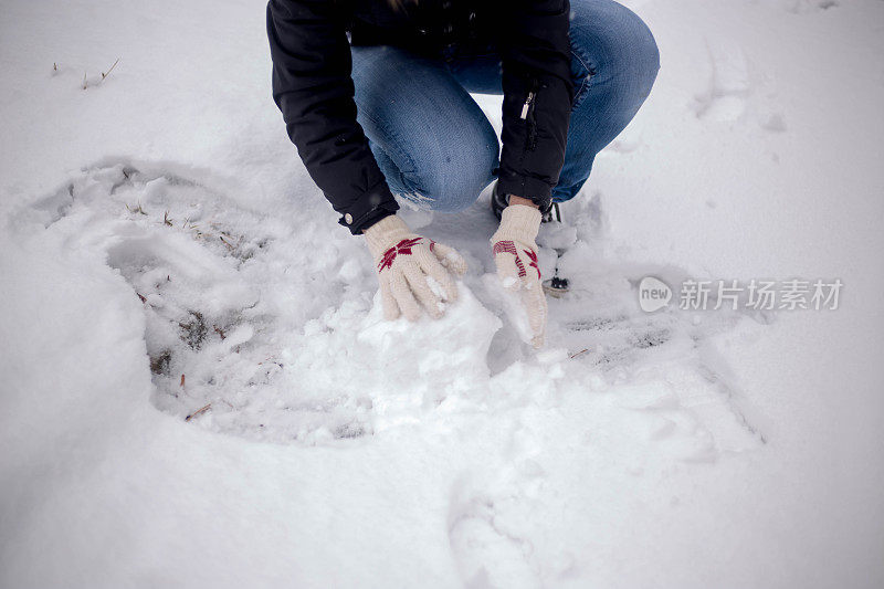 雪球在手里