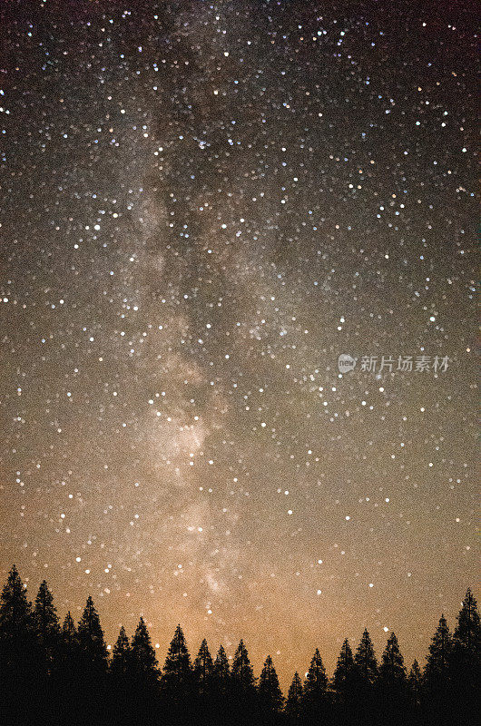 针叶林上空神秘的夜空