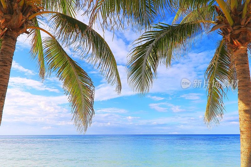 带有热带棕榈树的田园诗般的海滩-蒙特哥湾-牙买加，加勒比海