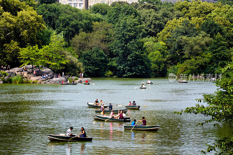 美国纽约市曼哈顿中央公园湖中划艇的人们