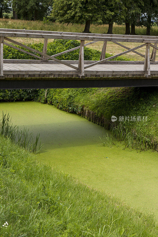 绿色通道