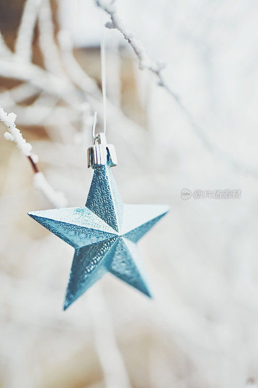 蓝绿色的星星圣诞装饰在冰冻的树枝在下雪