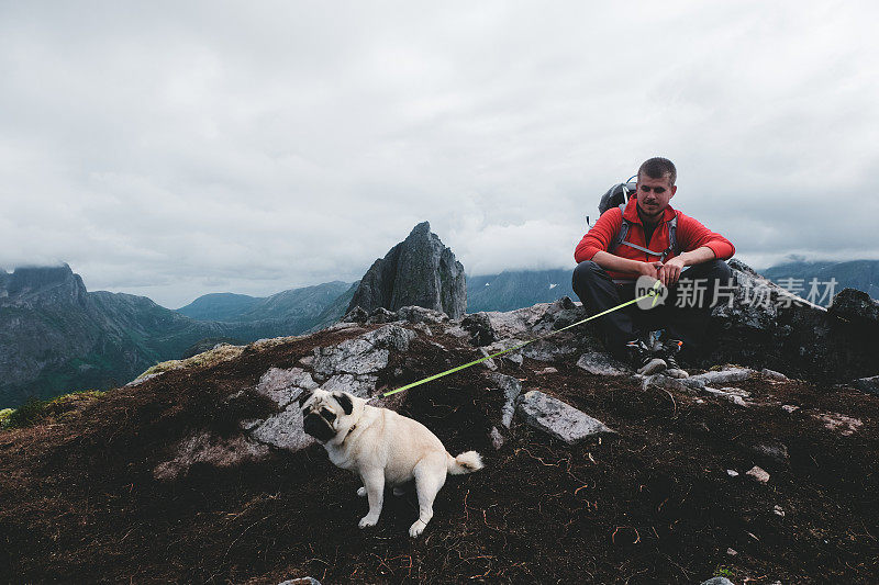 人们和狗在挪威北部的山上徒步旅行