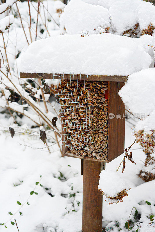冬天和雪在昆虫酒店与野蜜蜂和黄蜂。
