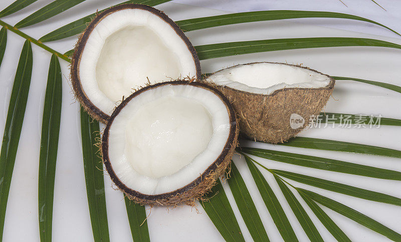 在白色背景上孤立的椰子果