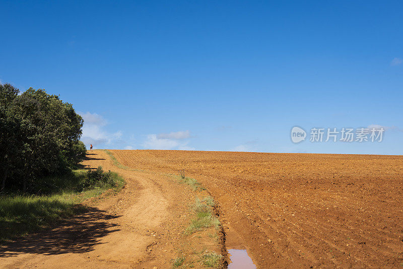 在西班牙阿斯托加附近的圣地亚哥大道上行走的朝圣者