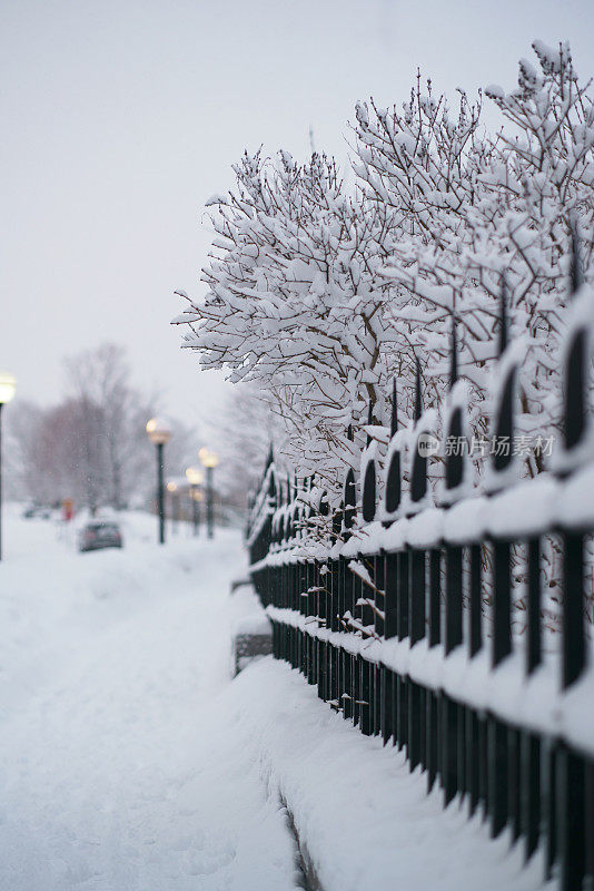 暴风雪给渥太华降下了8英寸的雪