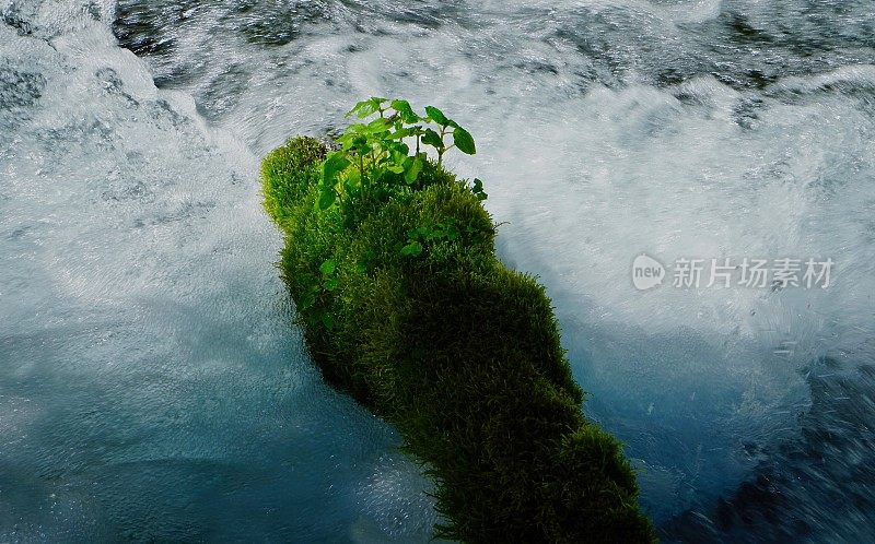 非常寒冷的华盛顿泉水