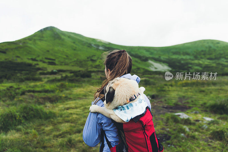 女人和狗在背包里登山