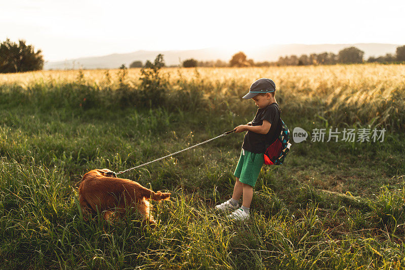 小男孩在和狗玩