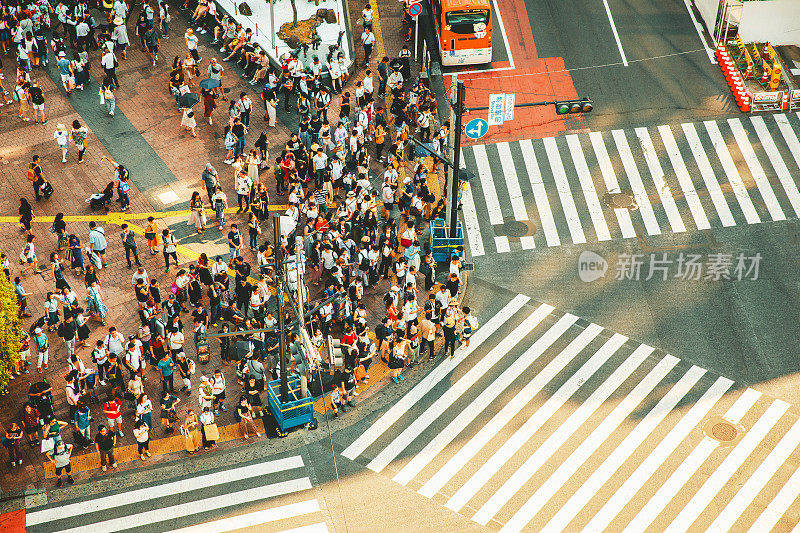 日本东京涩谷鸟瞰图