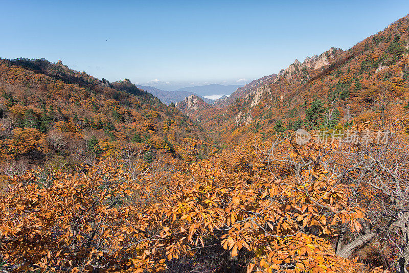 秋雪山国家公园