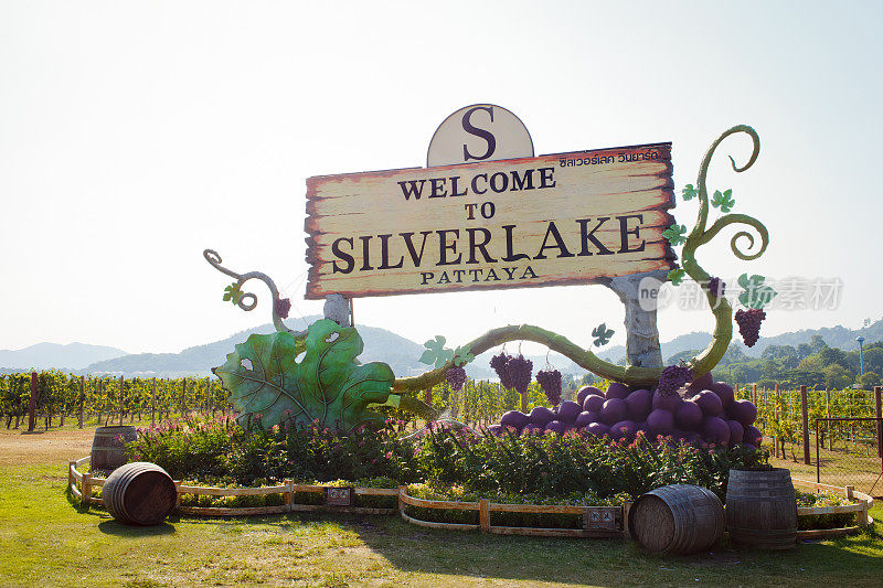 银湖是位于泰国芭堤雅乡村的葡萄园。