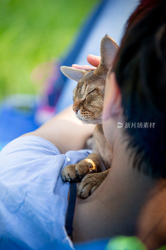 成年妇女宠物主人拥抱她的小猫-库存照片