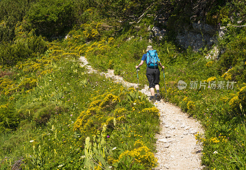 在斯洛文尼亚科姆纳附近徒步旅行的老年妇女