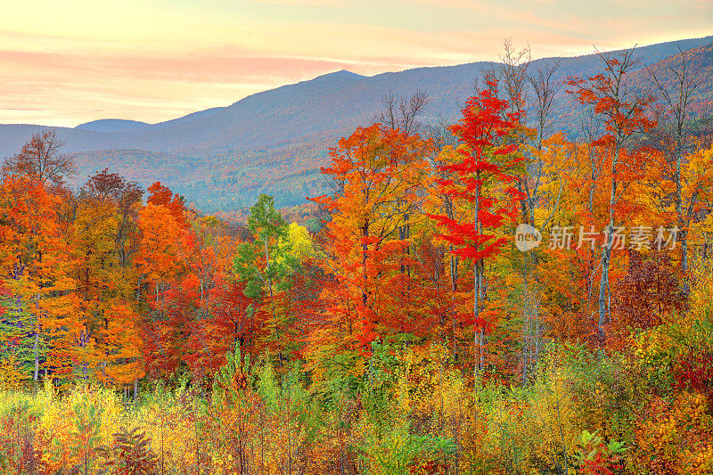 新罕布什尔州白山的秋天