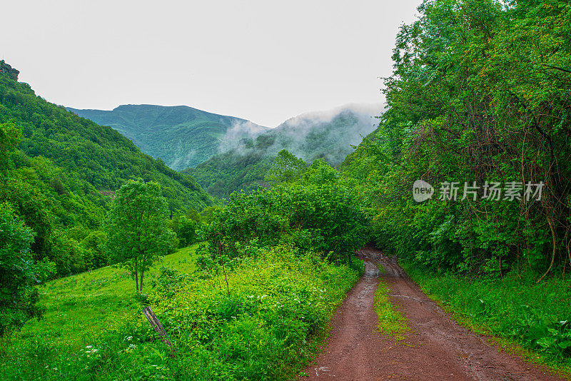 蜿蜒的道路在老山或斯达拉平原的乡间穿行