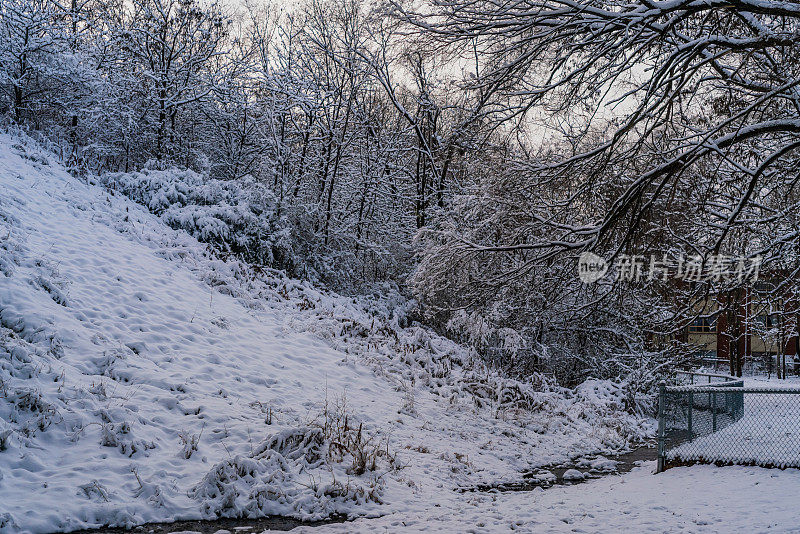 汉密尔顿，安大略-雪景沿着悬崖铁路小径