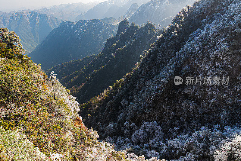 五指峰的雾凇