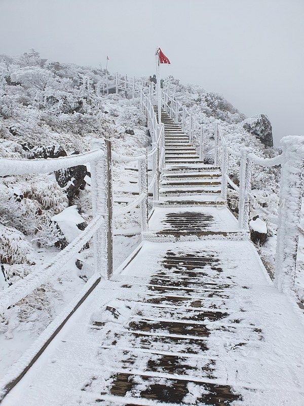 济州岛的第一场雪