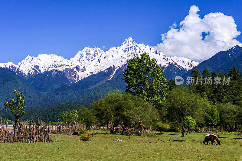 中国西藏林芝，上午318国道，冉乌湖(拉瓜措)至波密(波密)县的公路景观