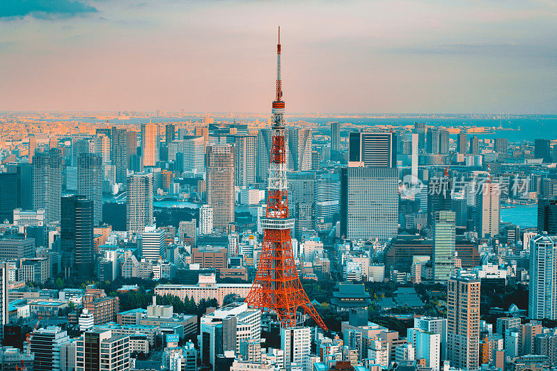 日本黎明时分的东京市景