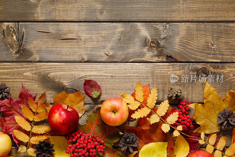 秋天情绪成分。落叶、苹果、红浆果、松果摆在木桌上。快乐的感恩节概念与秋天五彩的树叶。平铺，俯视图，复制空间。