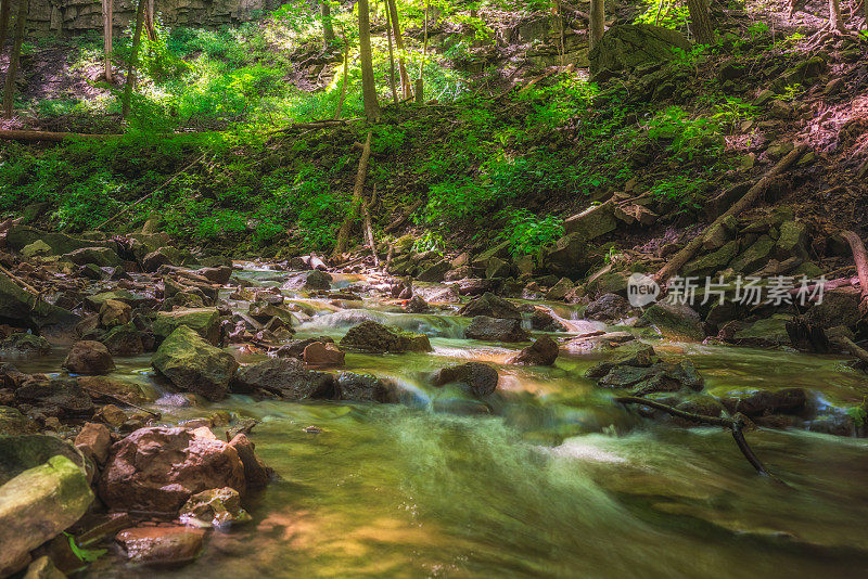 自然景观-小溪流被树木包围