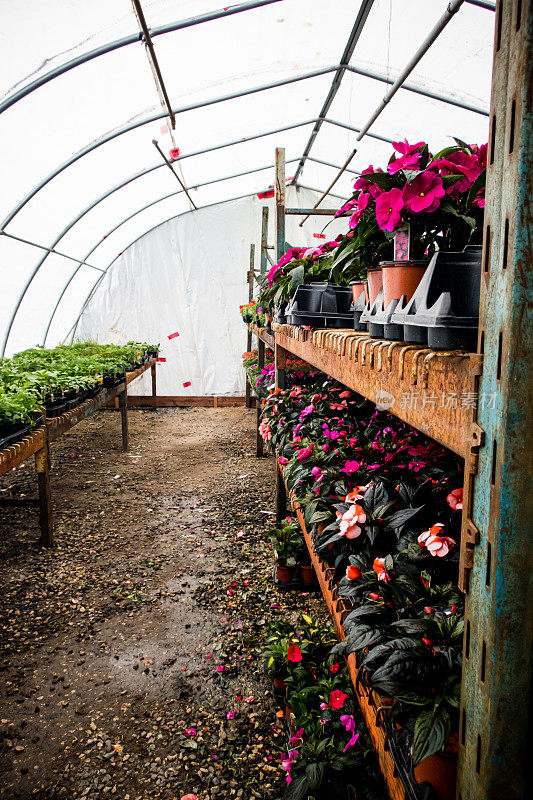 温室内