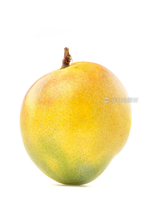 白色背景的芒果果实。
