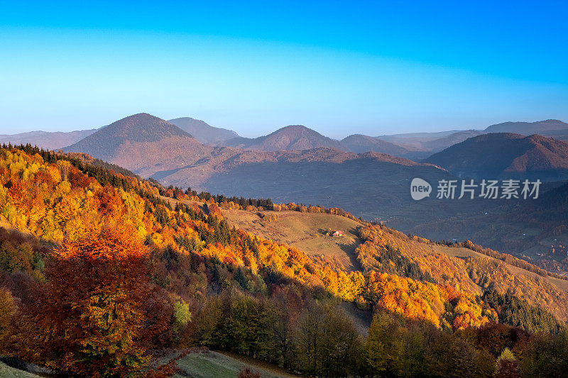 秋天的风景