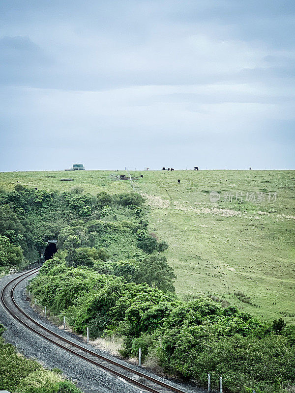 垂直无人机拍摄的火车轨道出隧道，周围是绿色的田野和郁郁葱葱的树木