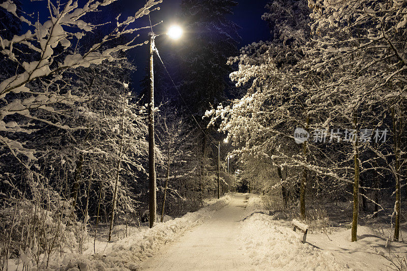 冬天的风景。森林中间的步道和一盏路灯。暮光。