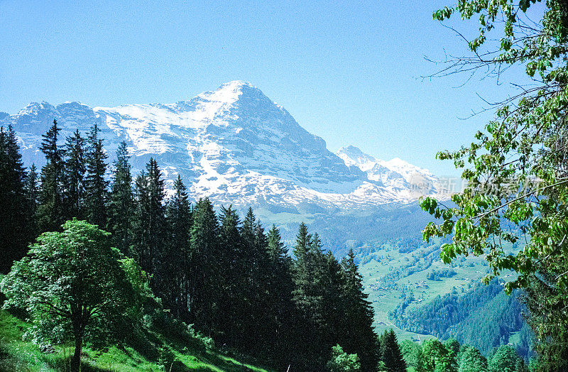 瑞士阿尔卑斯山