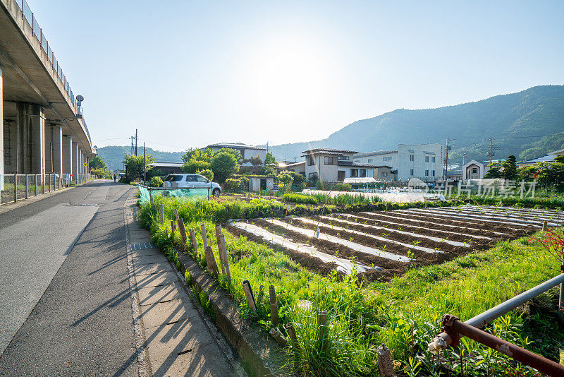 日本的邻里关系