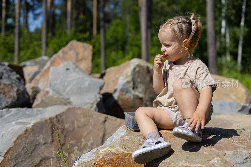 一个可爱的小女孩在夏天坐在岩石上吃草莓。这孩子喜欢吃新鲜成熟的草莓。夏日散步时健康零食的概念。